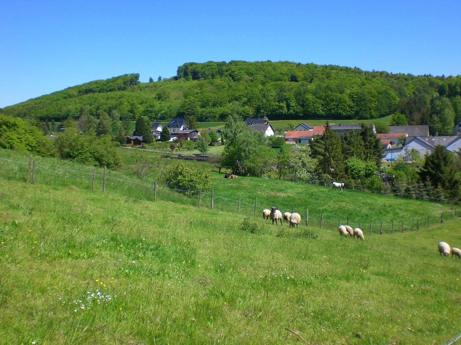 Ferienhof An Der Lay Kerpen  المظهر الخارجي الصورة