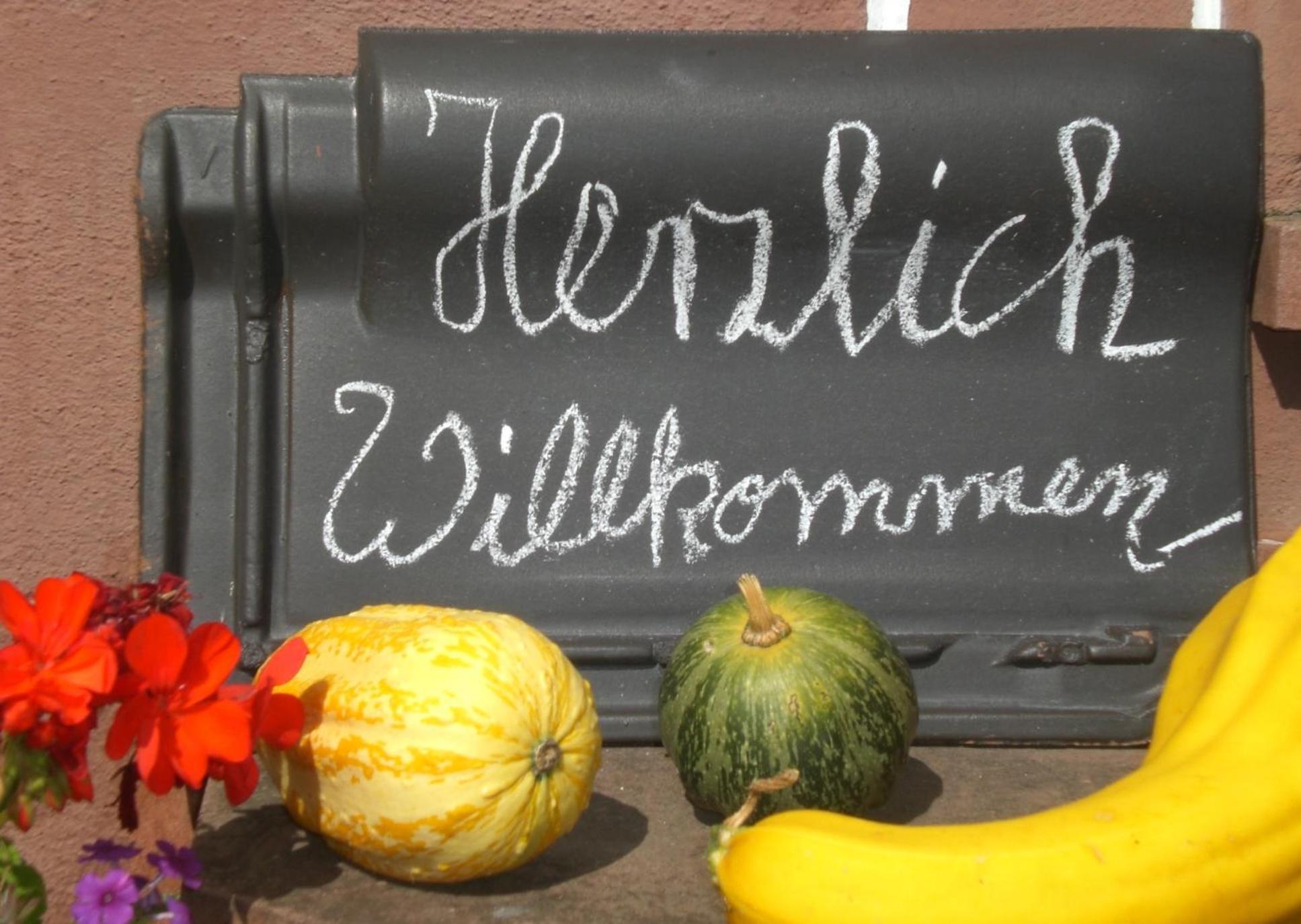 Ferienhof An Der Lay Kerpen  المظهر الخارجي الصورة